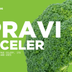 Pravi Celer