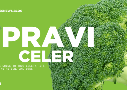 Pravi Celer