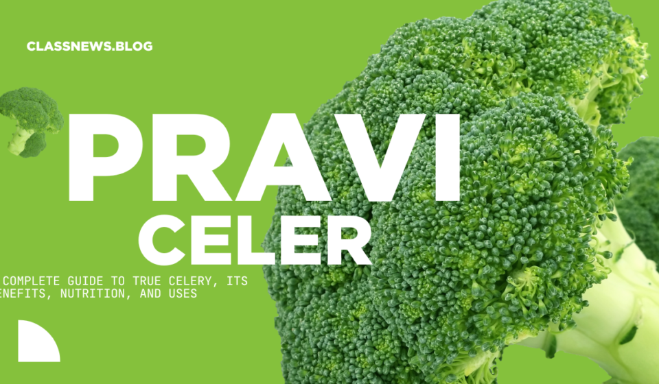 Pravi Celer